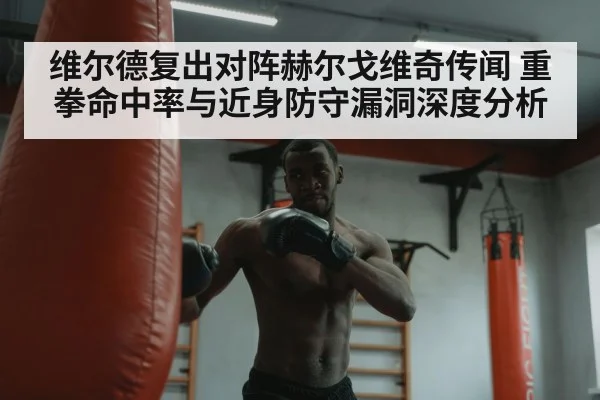维尔德复出对阵赫尔戈维奇传闻 重拳命中率与近身防守漏洞深度分析